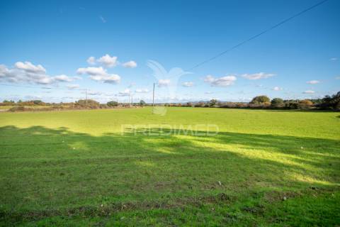 Quinta única com mais de 18 hectares junto a marialva e ao douro