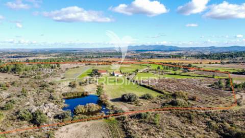 Quinta única com mais de 18 hectares junto a marialva e ao douro