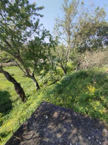 Terreno urbano em alcorriol