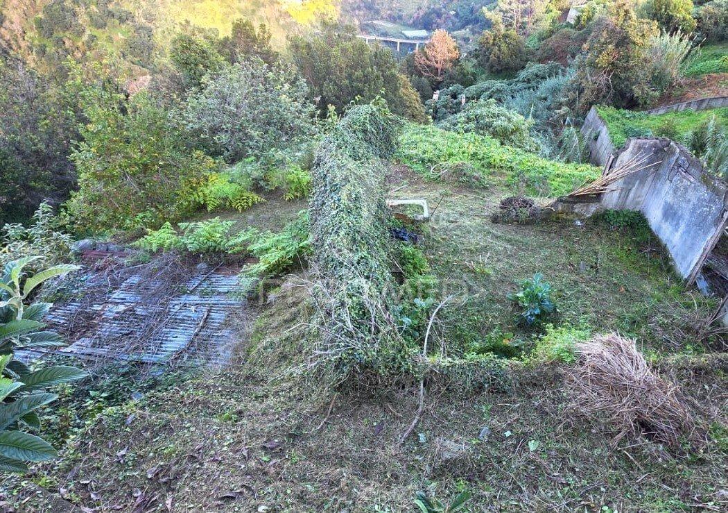 Terreno com vista atlântica e montanha – ilha, santana | madeira