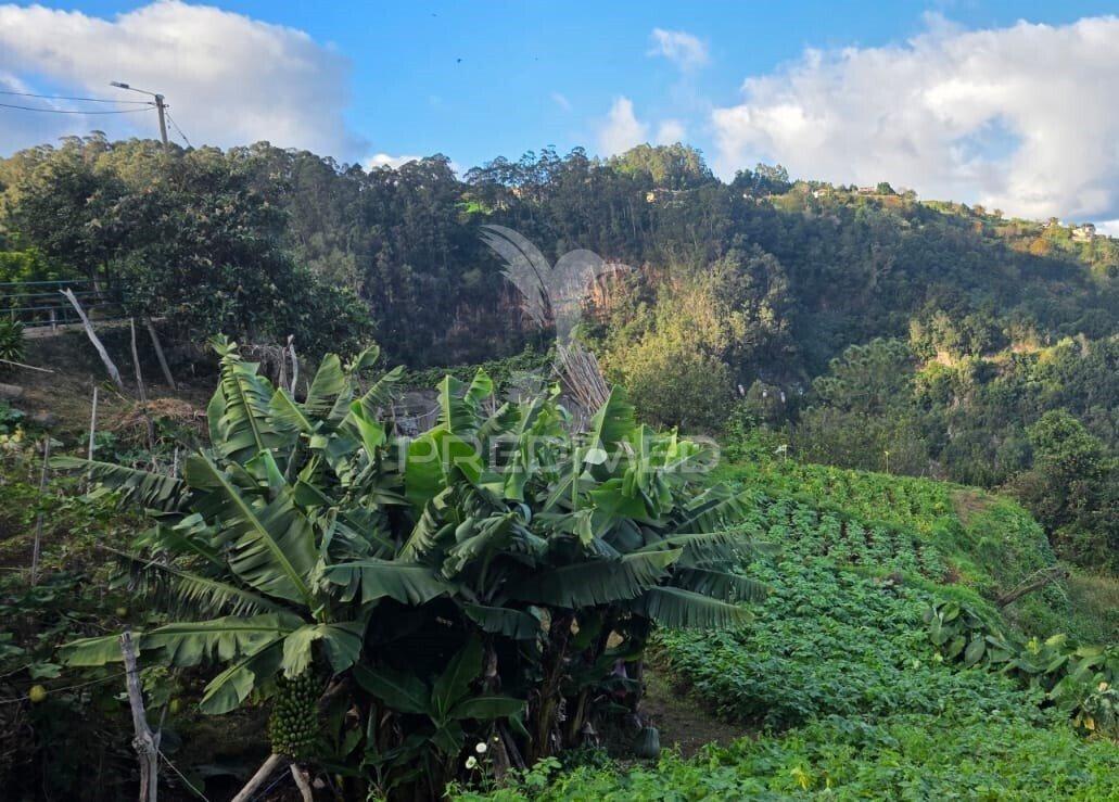 Terreno com vista atlântica e montanha – ilha, santana | madeira