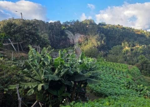 Terreno com vista atlântica e montanha – ilha, santana | madeira