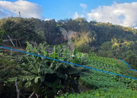 Terreno com vista atlântica e montanha – ilha, santana | madeira