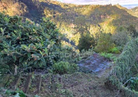 Terreno com vista atlântica e montanha – ilha, santana | madeira