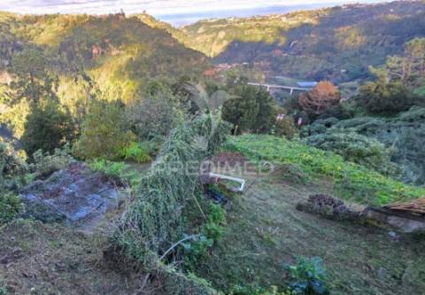 Terreno com vista atlântica e montanha – ilha, santana | madeira