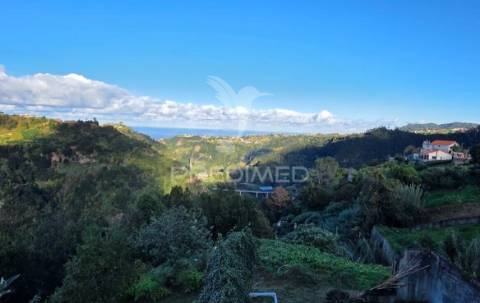 Terreno com vista atlântica e montanha – ilha, santana | madeira