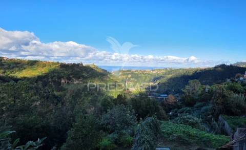 Terreno com vista atlântica e montanha – ilha, santana | madeira