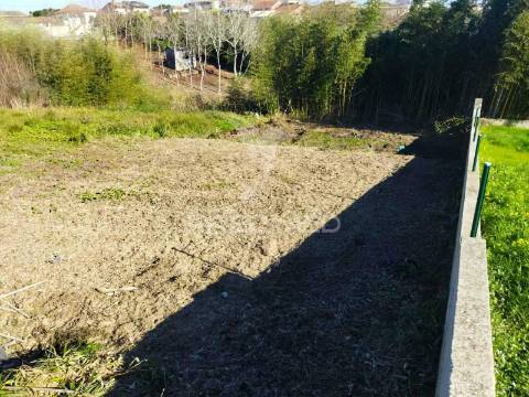 Terreno urbano em mamodeiro