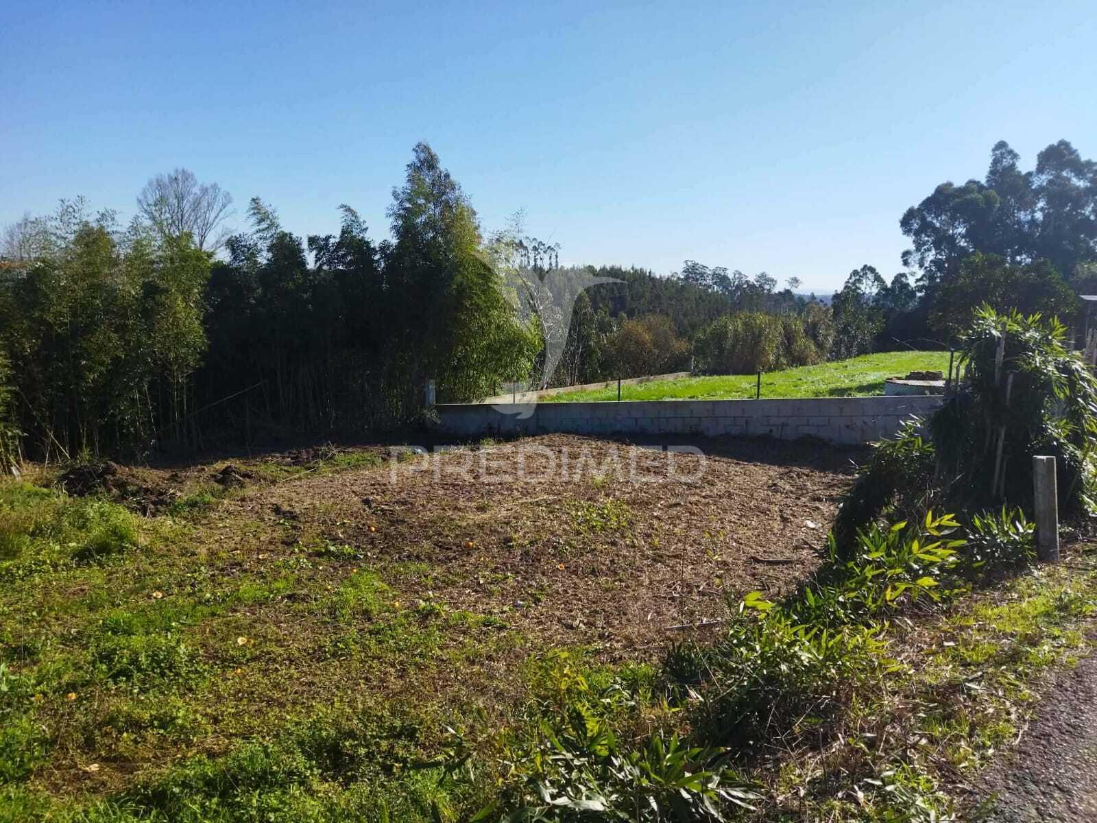 Terreno urbano em mamodeiro