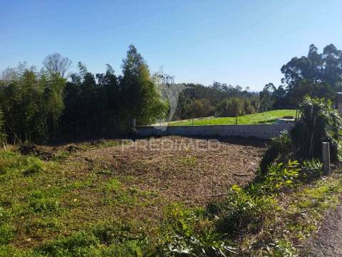 Terreno urbano em mamodeiro