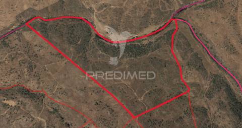 Terreno rústico com 28 hectares