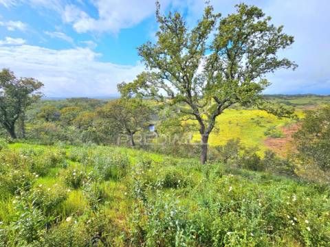 Terreno rústico com 28 hectares