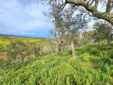 Terreno rústico com 28 hectares