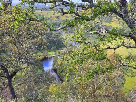 Terreno rústico com 28 hectares
