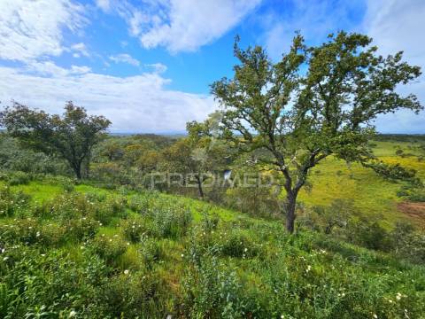 Terreno rústico com 28 hectares