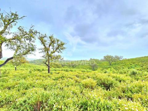 Terreno rústico com 28 hectares