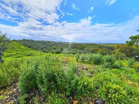 Terreno rústico com 28 hectares
