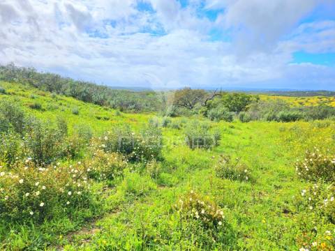 Terreno rústico com 28 hectares