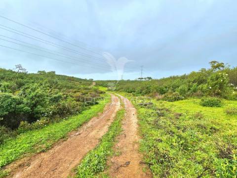 Terreno rústico com 28 hectares