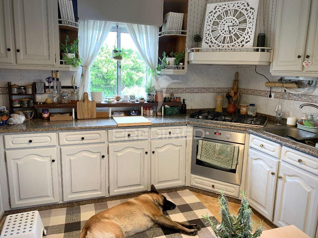 Moradia isolada em tunes, algarve