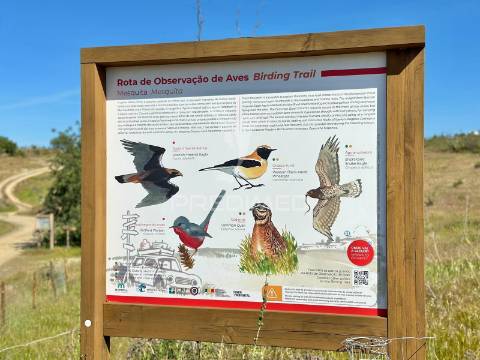 O refúgio perfeito: onde o conforto moderno encontra a alma alentejana