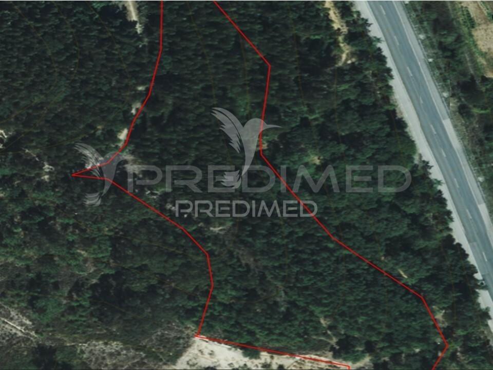 Lousa. lote terreno rústico com 8.760 m2