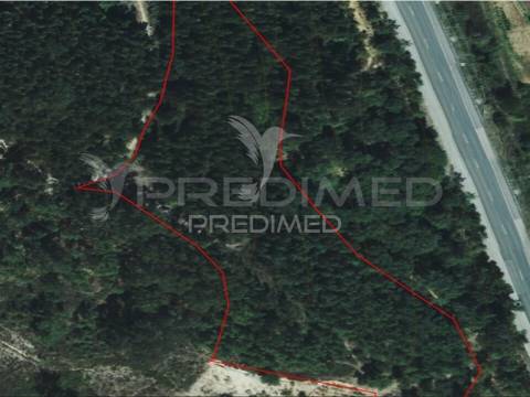 Lousa. lote terreno rústico com 8.760 m2