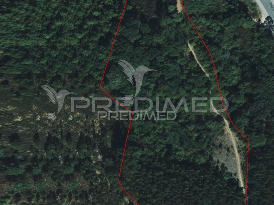 Lousa. lote terreno rústico com 16.320 m2