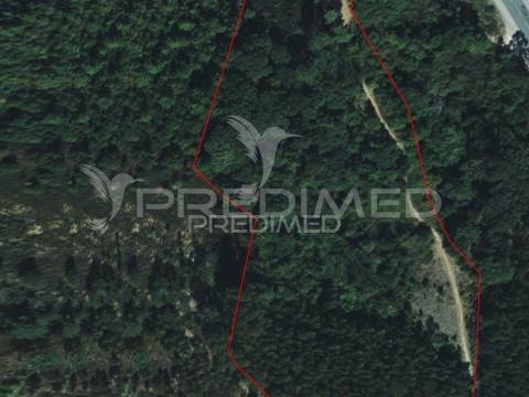 Lousa. lote terreno rústico com 16.320 m2