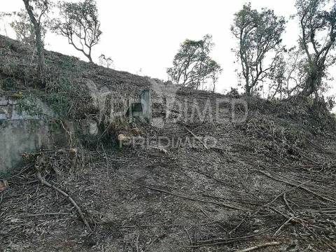 Lousa. lote terreno rústico com 16.320 m2