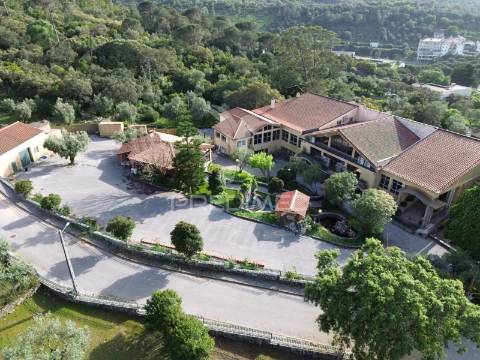 Quinta da malgueira minde / alcanena