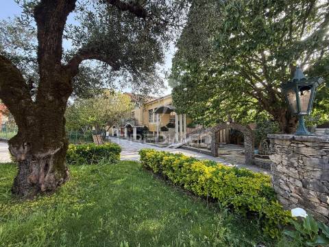 Quinta da malgueira minde / alcanena