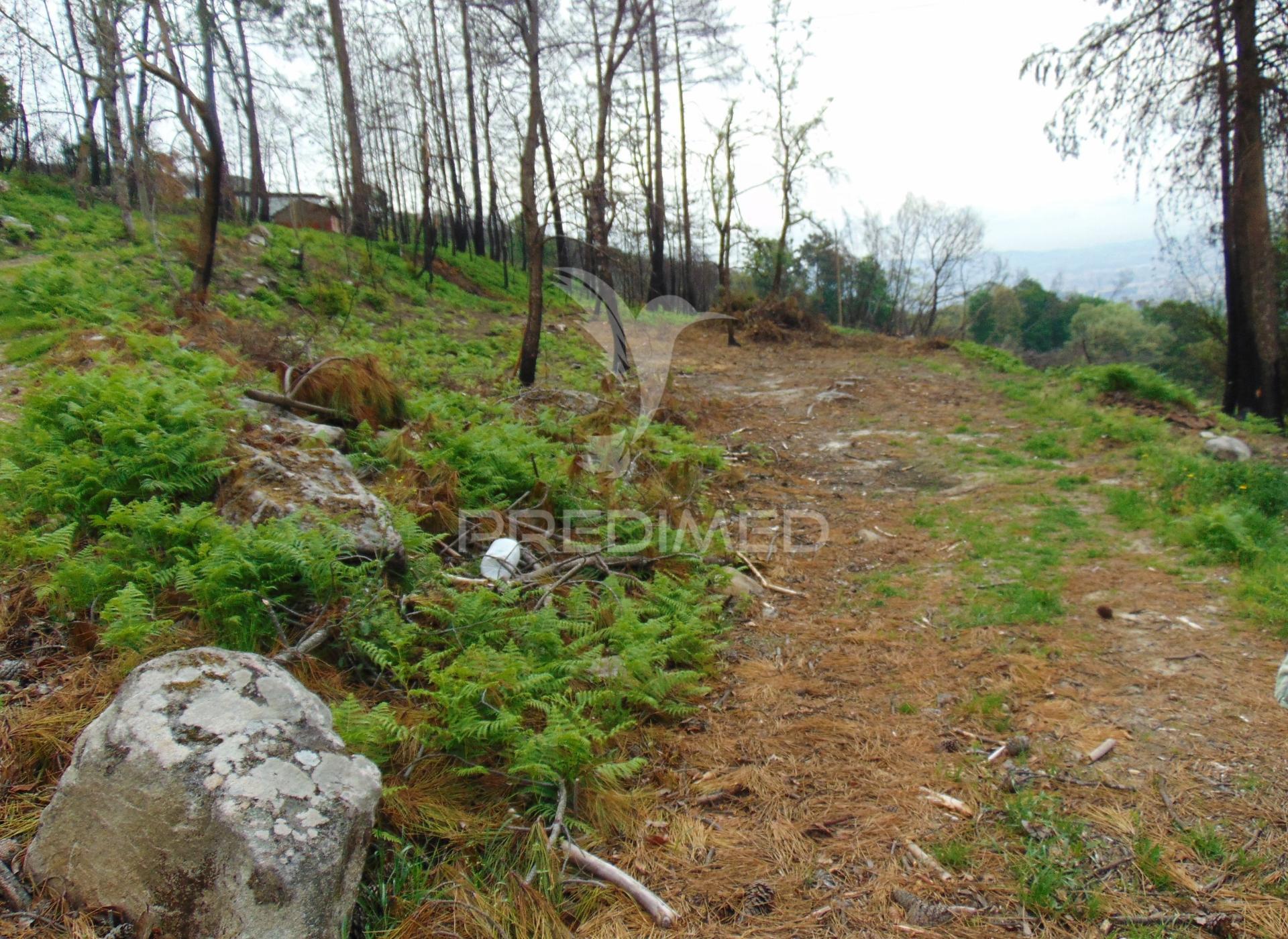 Terreno em lordelo / parque natural do alvão - vila real