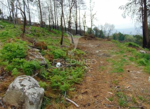 Terreno em lordelo / parque natural do alvão - vila real