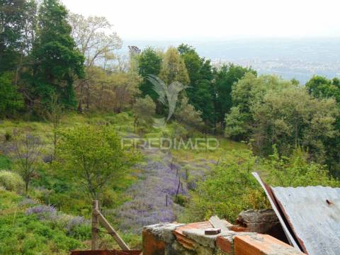 Terreno em lordelo / parque natural do alvão - vila real
