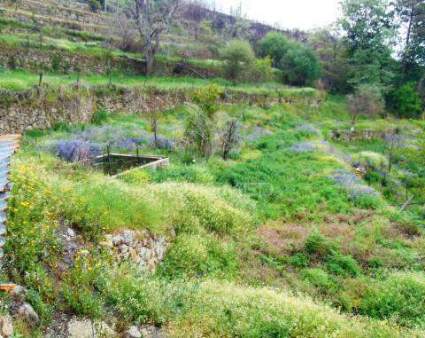 Terreno em lordelo / parque natural do alvão - vila real