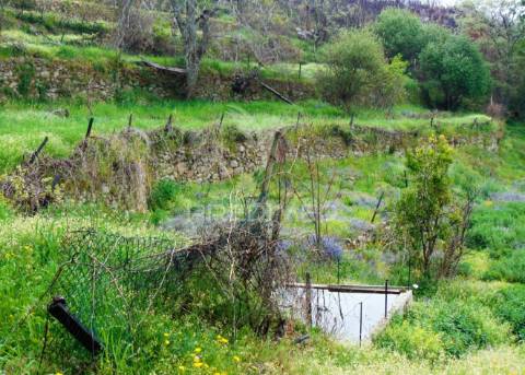 Terreno em lordelo / parque natural do alvão - vila real