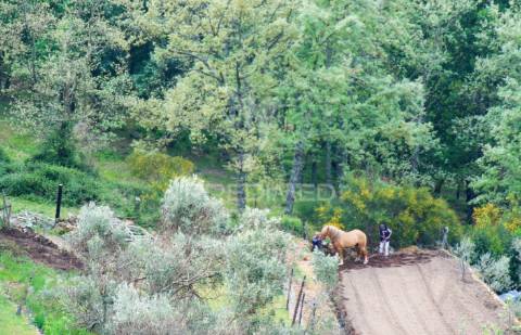 Terreno em lordelo / parque natural do alvão - vila real