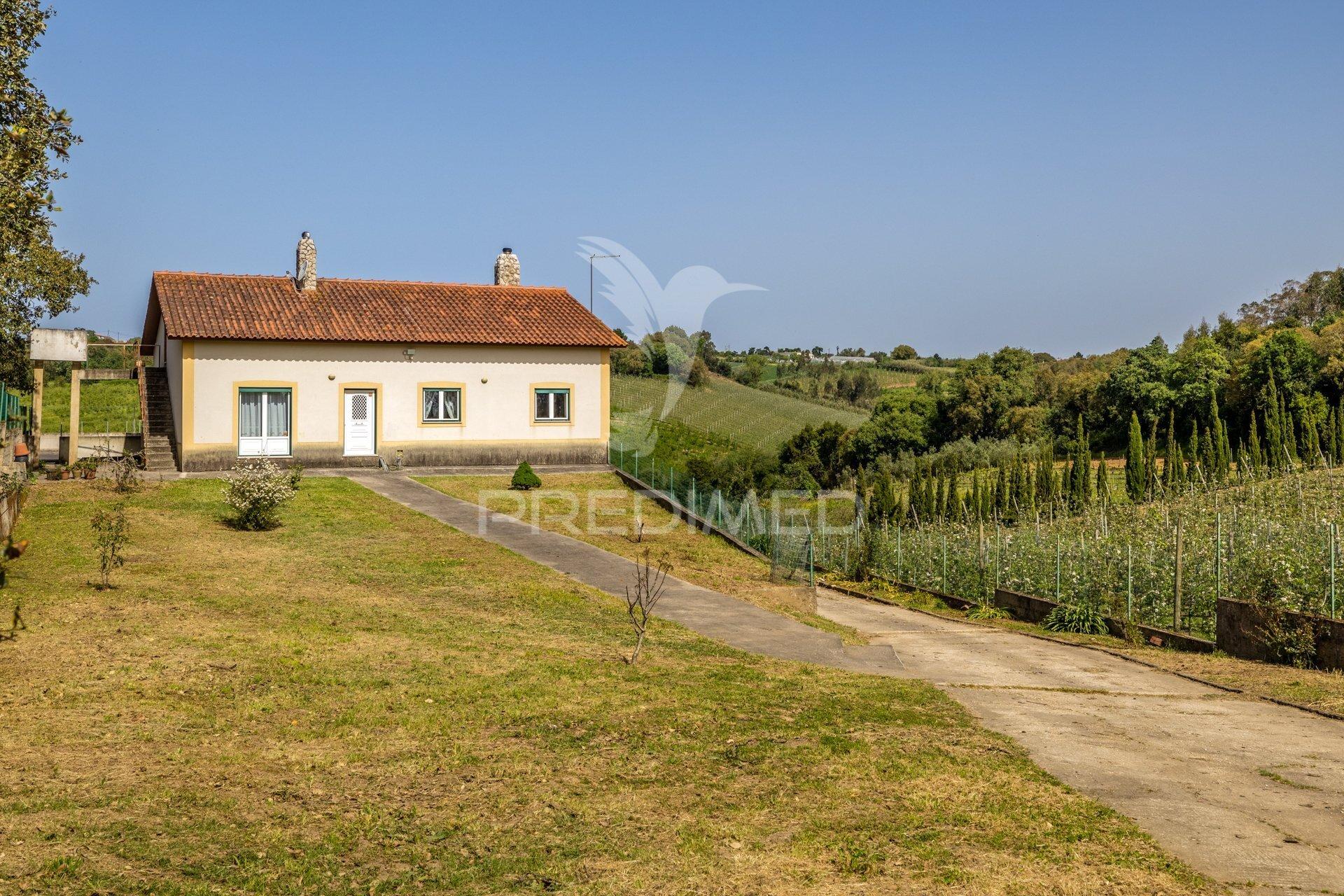 Quinta em alcobaça para comprar.