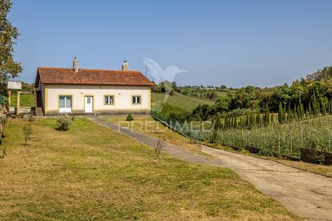 Quinta em alcobaça para comprar.
