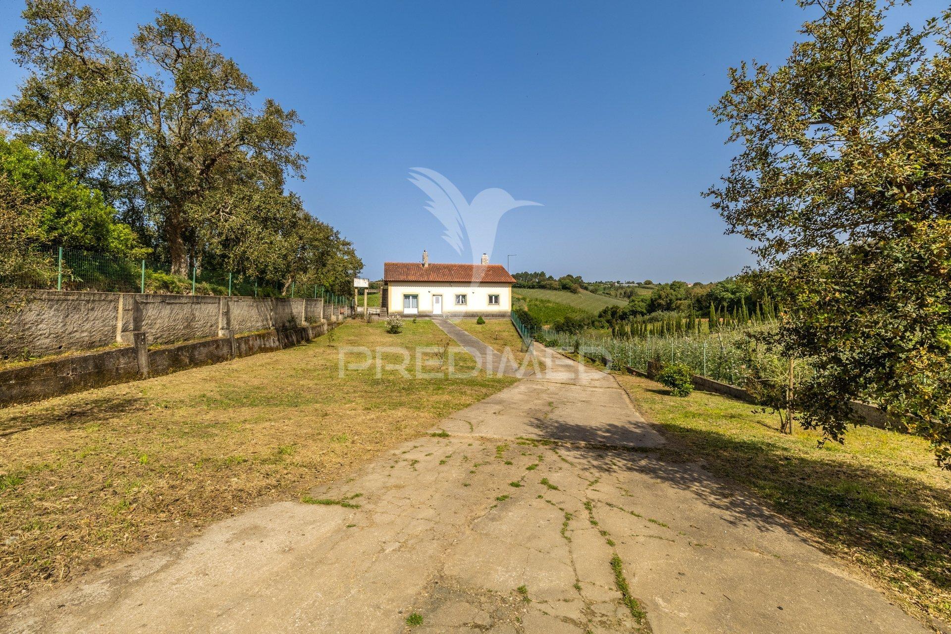 Quinta em alcobaça para comprar.