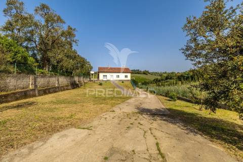 Quinta em alcobaça para comprar.