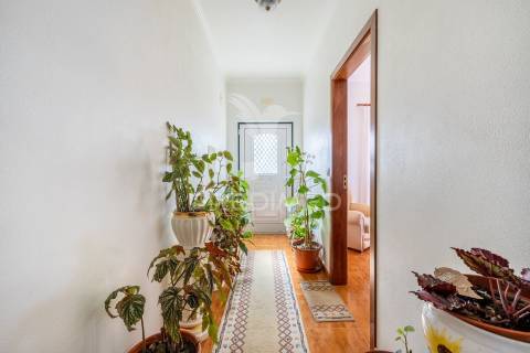 Quinta em alcobaça para comprar.