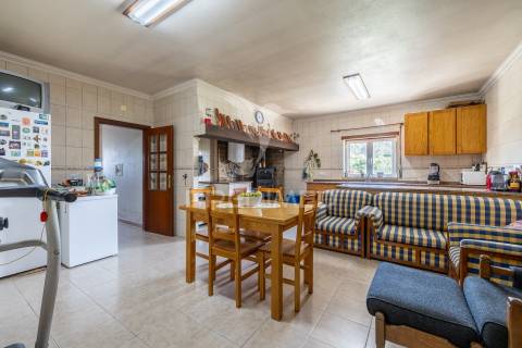 Quinta em alcobaça para comprar.