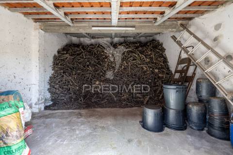 Quinta em alcobaça para comprar.