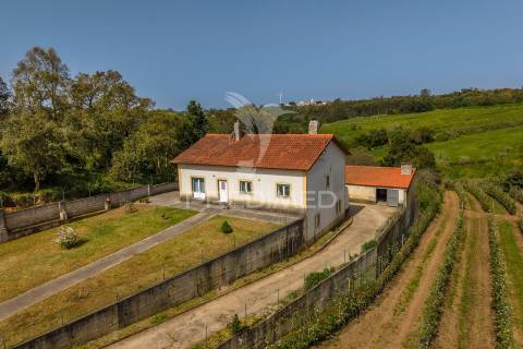 Quinta em alcobaça para comprar.