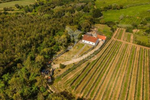 Quinta em alcobaça para comprar.