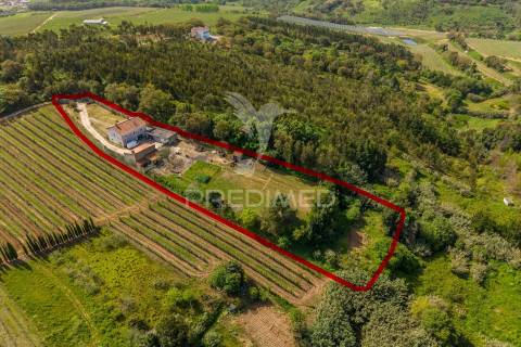 Quinta em alcobaça para comprar.