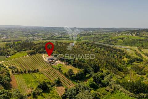 Quinta em alcobaça para comprar.