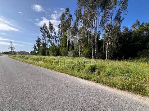Terreno para construção com 2310 m2 em mira, coimbra